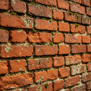 Brick Wall