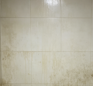 Oily/Greasy Surfaces